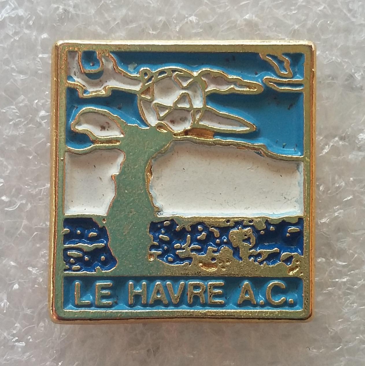 Le Havre AC, ФК Гавр, Франция