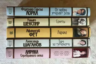 Книги из серии Золотая серия поэзии. Цена указана за 1 шт.