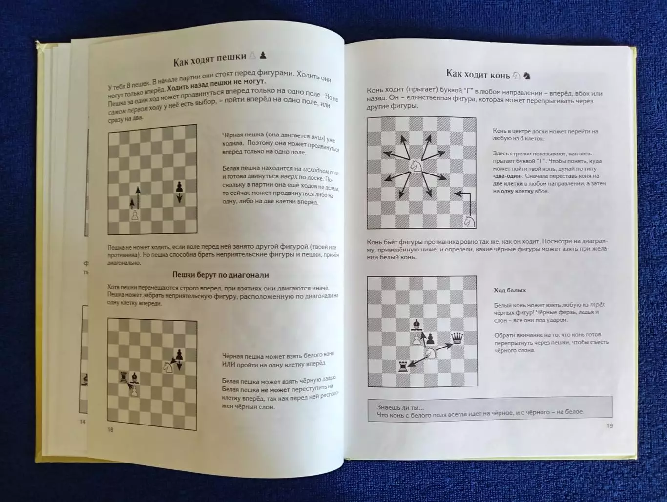 Книга Чандлер М., Миллиган Х. Шахматы для детей. 2013 г 2