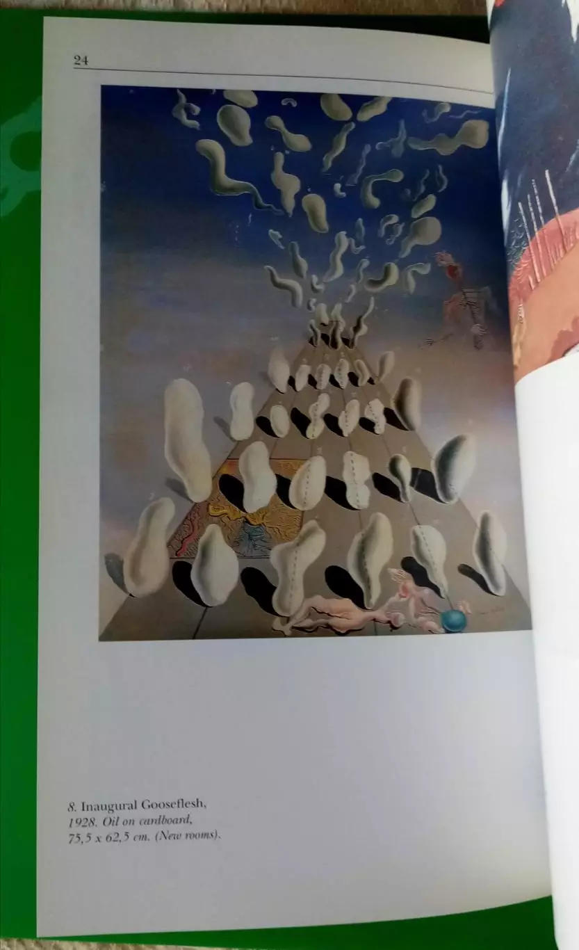Книга-путеводитель «Театр-музей Дали» (Teatre-Museu Dal) 2000 г 3