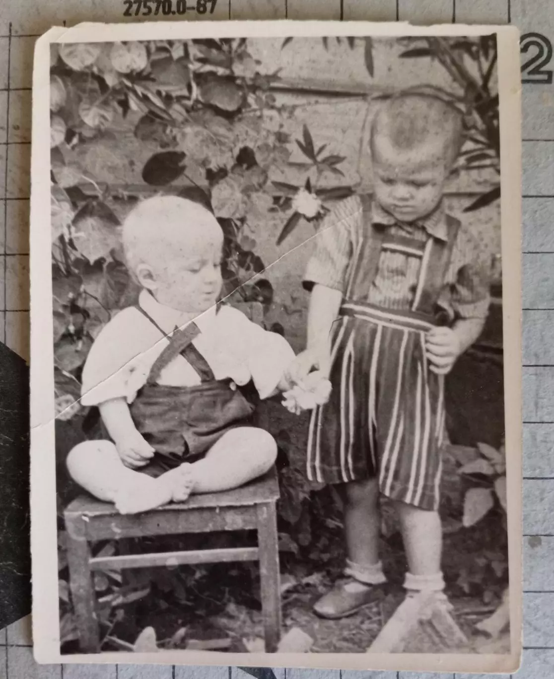 Фото СССР. Дети. 1950-е г