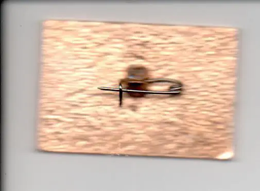 Финал Кубка России 97 Динамо (Москва) - Локомотив (Москва) 1