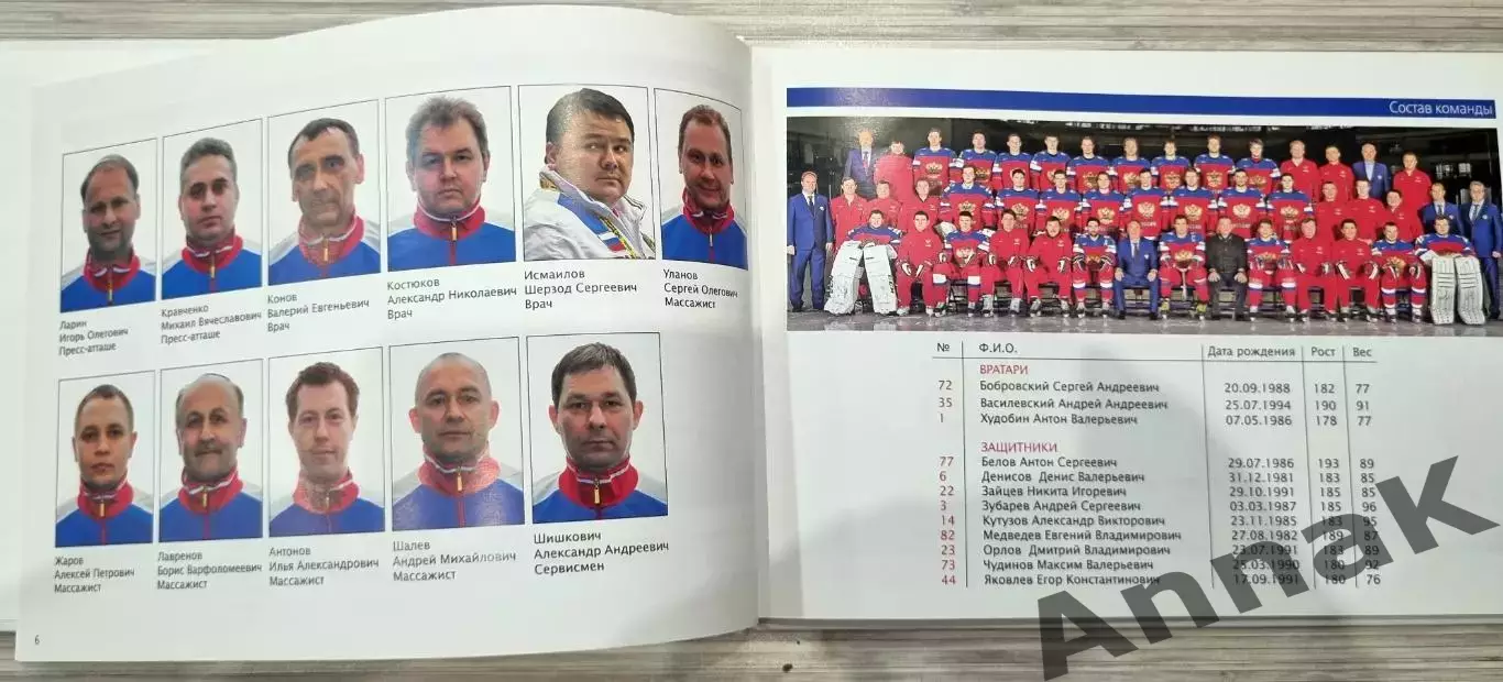Фотоальбом 2014. Чемпионат мира по хоккею. 1