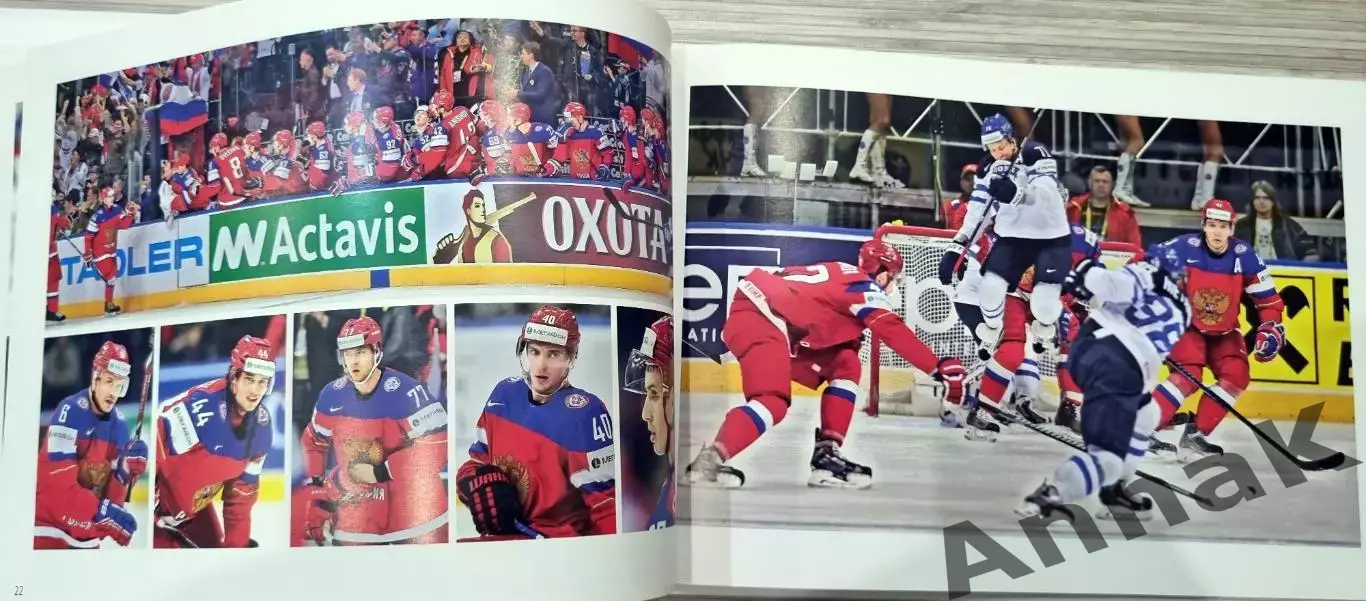 Фотоальбом 2014. Чемпионат мира по хоккею. 2