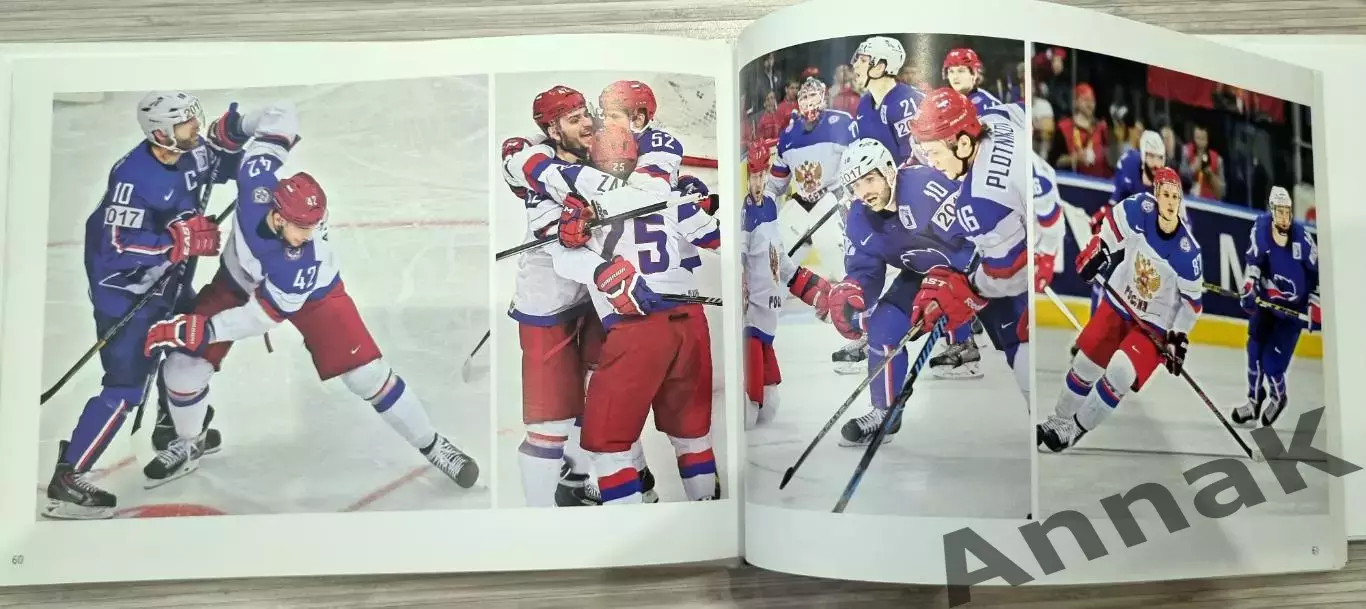 Фотоальбом 2014. Чемпионат мира по хоккею. 3