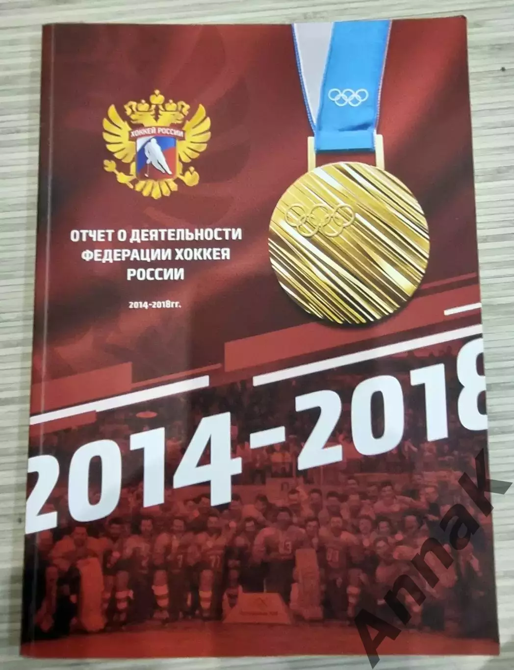 Отчет деятельности Федерации хоккея России 2014 - 2018 гг