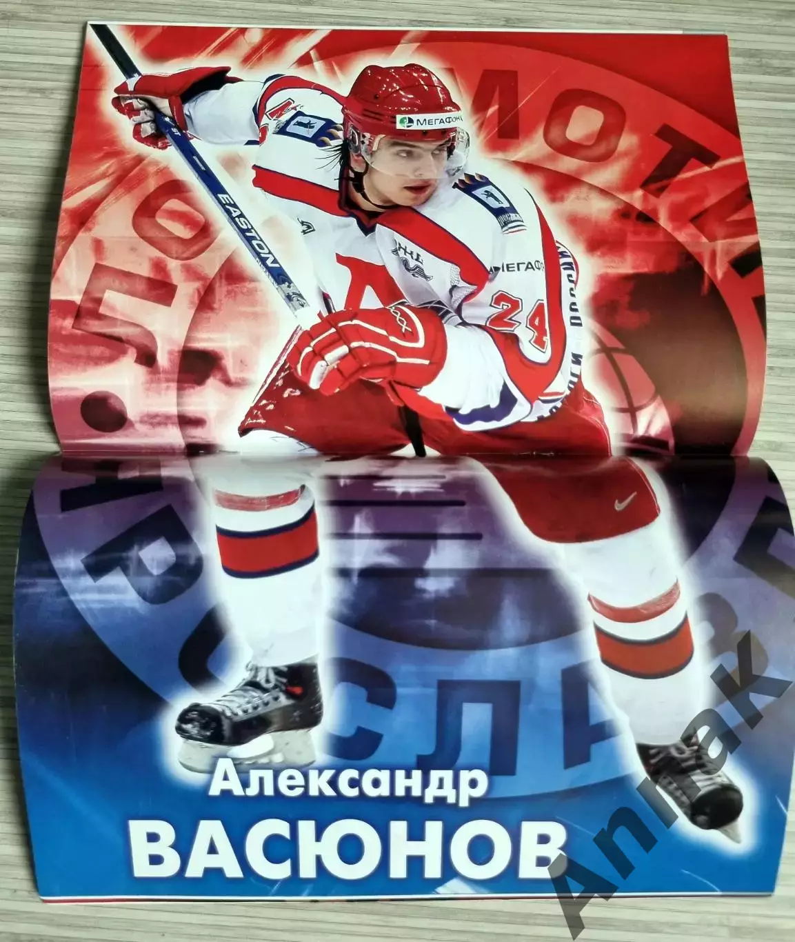 Локомотив Ярославль - Витязь 2006/2007 (19.02.2007) Постер Александр Васюнов 1