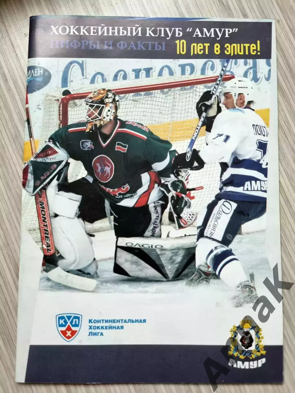 Амур Хабаровск. Цифры и факты. 10 лет в элите. 2008 год