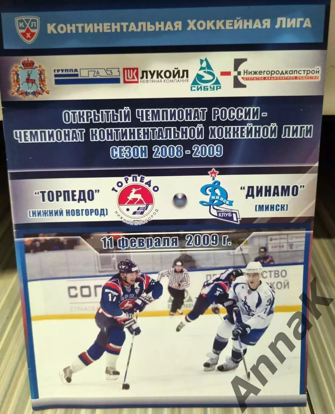 Торпедо(Нижний Новгород)-Динамо(Минск)-2008/2009.11 февраля Постер Илья Каблуков