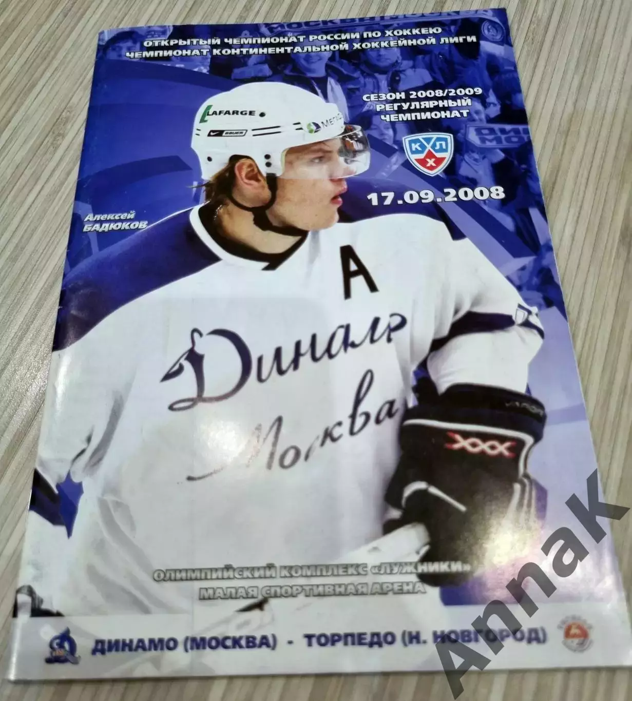 Динамо Москва - Торпедо Нижний Новгород-2008/2009 г. 17.09.2008 Постер А.Бадюков