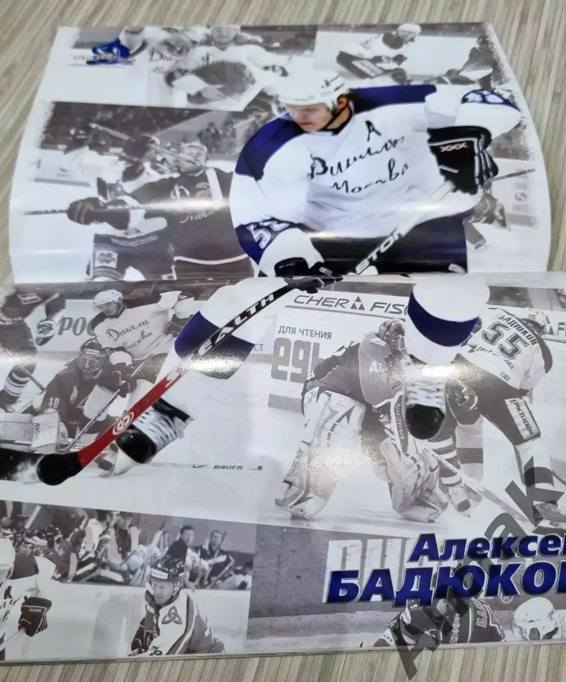 Динамо Москва - Торпедо Нижний Новгород-2008/2009 г. 17.09.2008 Постер А.Бадюков 1