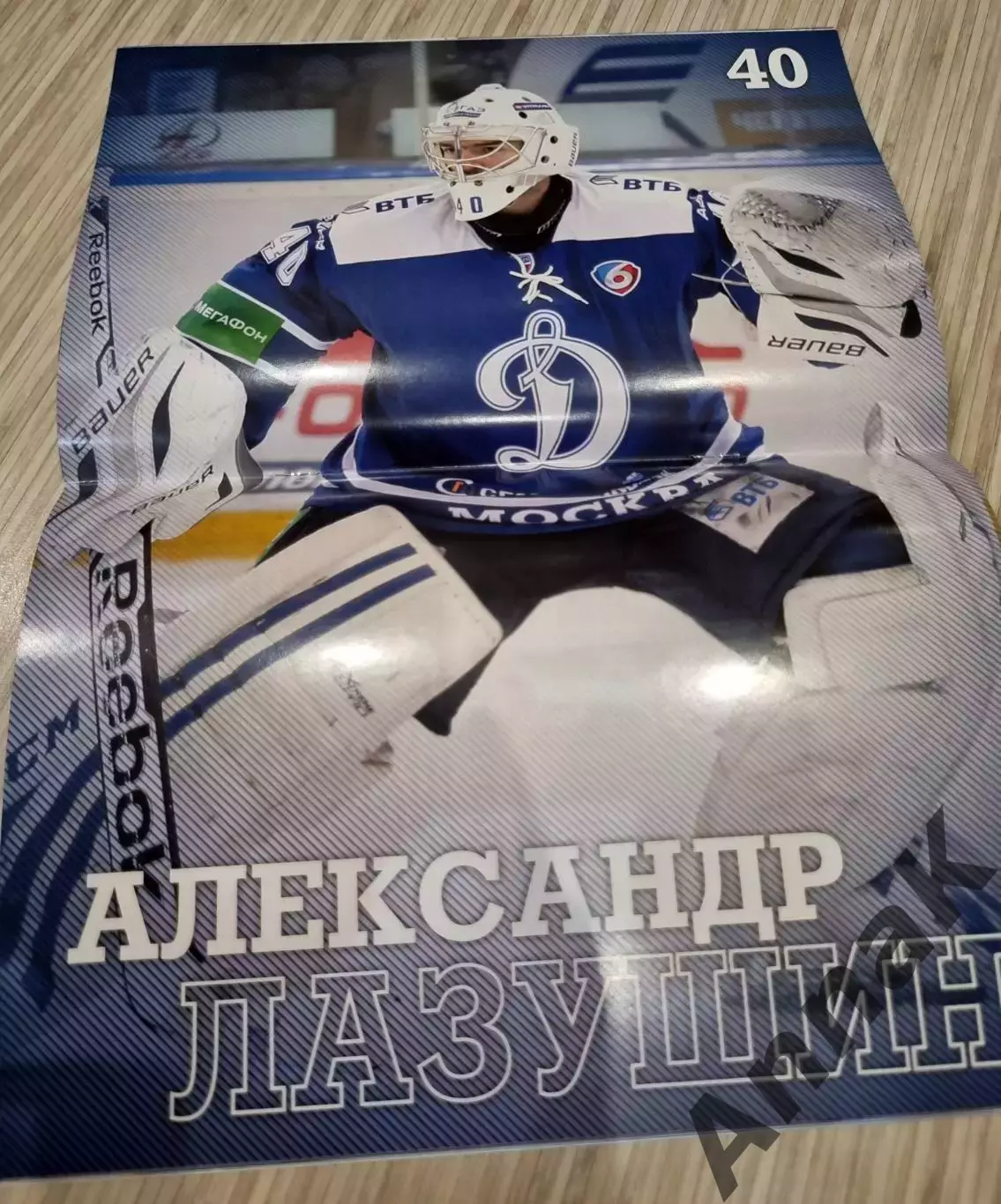 Динамо(Москва)-Сибирь(Новосибирск)/Торпедо(Нижний Новгород)-2013/14. Постер 1