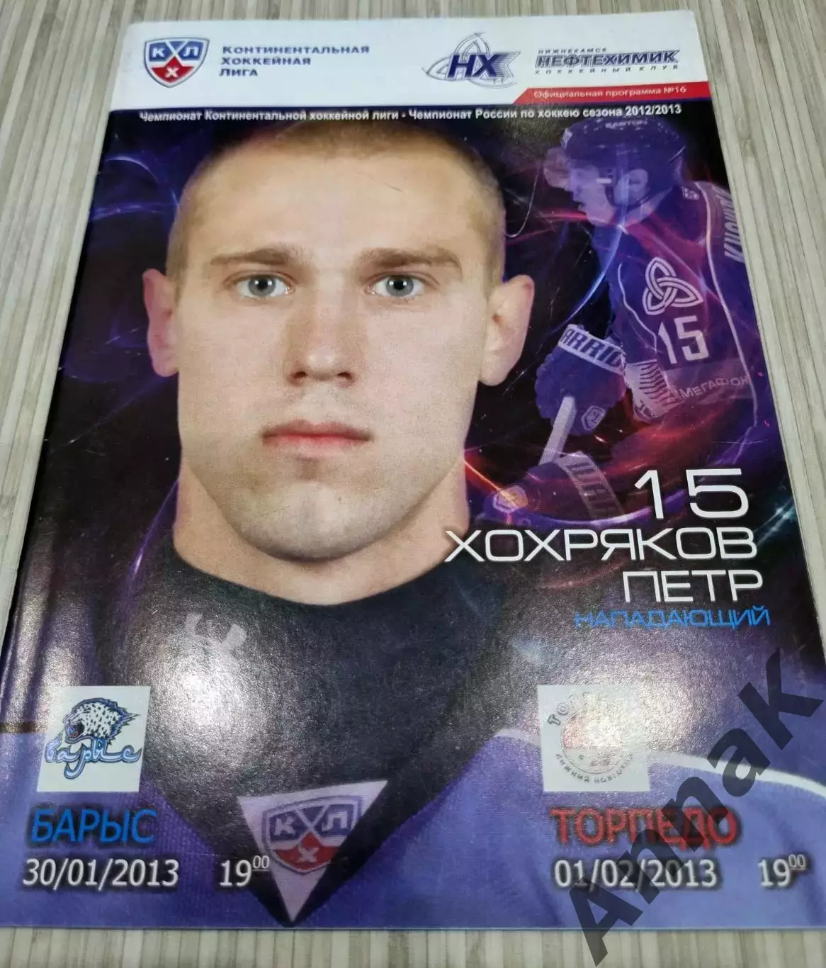 Нефтехимик (Нижнекамск) - Барыс (Астана) -Торпедо (Нижний Новгород) - 2012/2013
