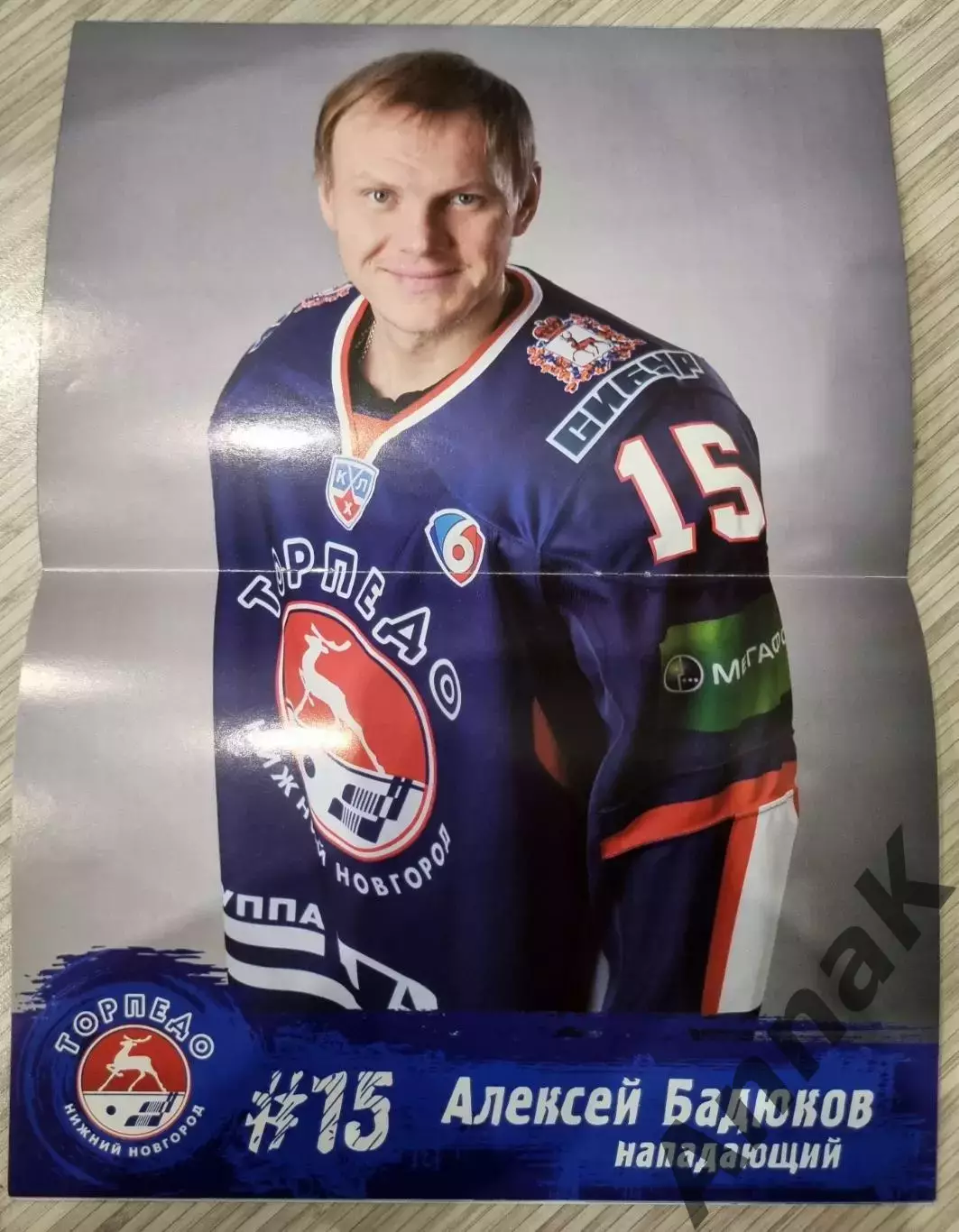 Торпедо Нижний Новгород - Авангард Омск - 2013/2014 (7.01.2014) Постер А.Бадюков 1