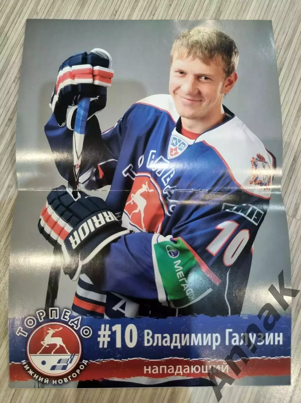 Торпедо Нижний Новгород-Амур Хабаровск-2011/2012(31 января). Постер В.Галузин 1