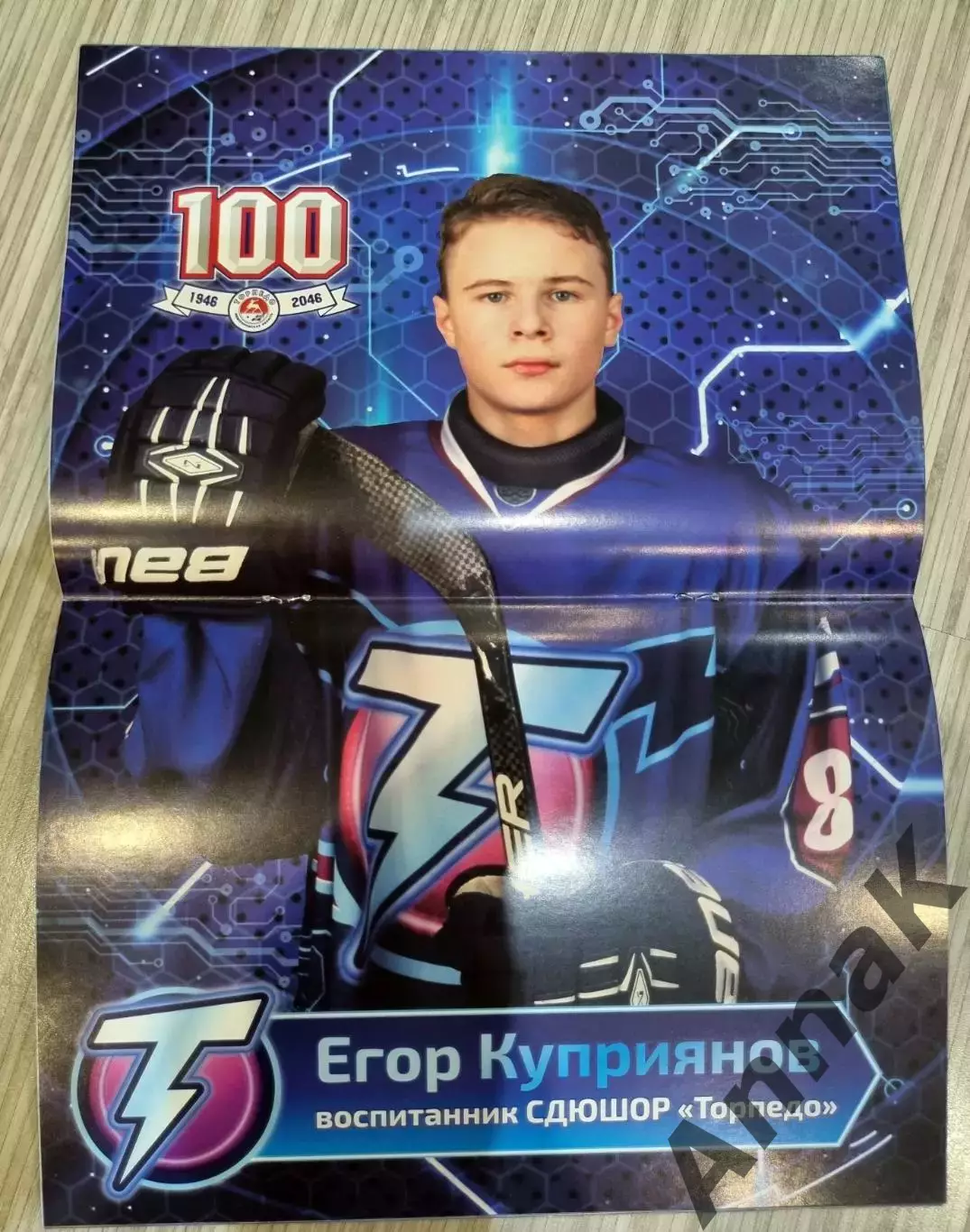 Торпедо Нижний Новгород - Локомотив Ярославль - 2016/2017 (24 декабря 2016) 1