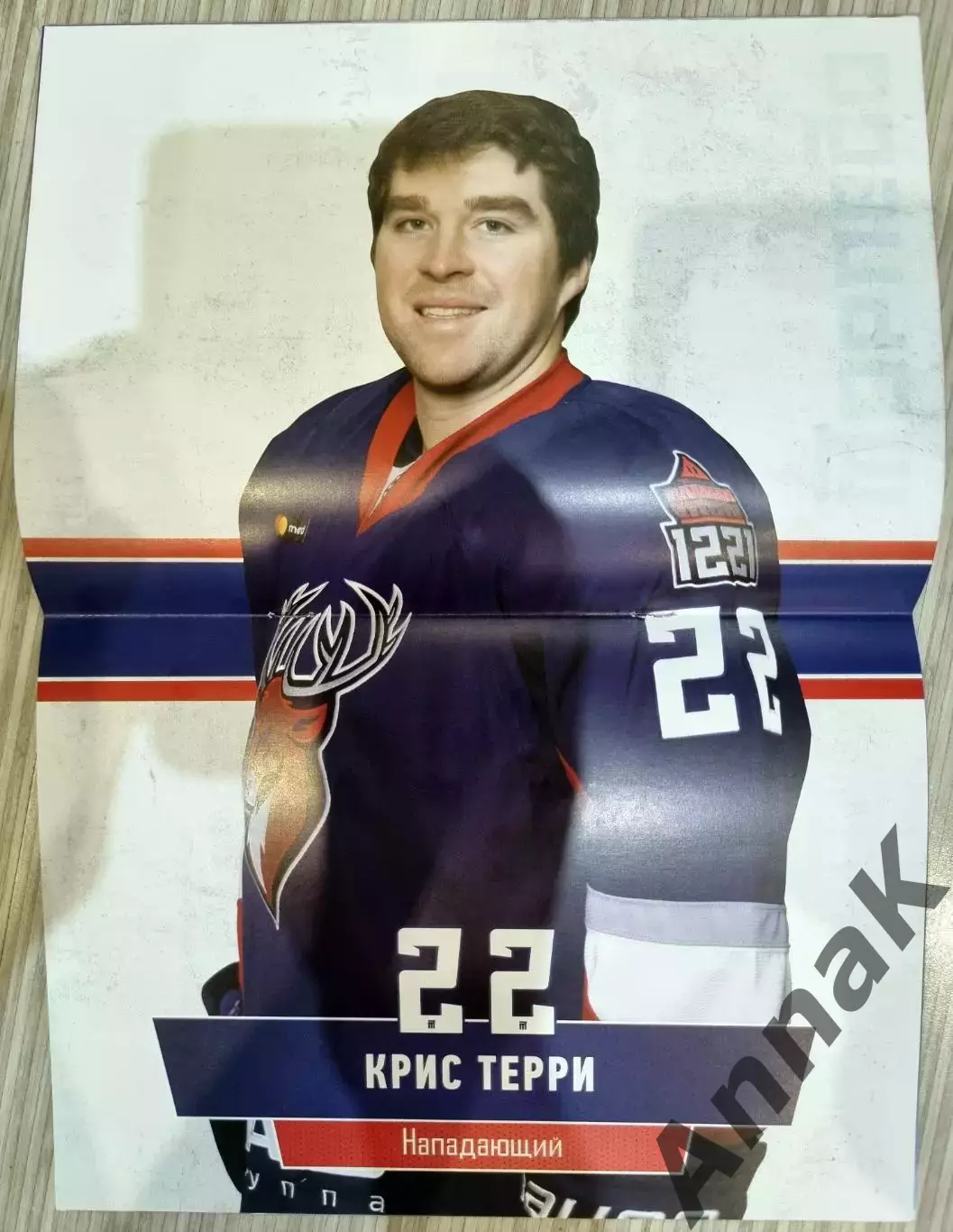 Торпедо Нижний Новгород-Спартак Москва/Авангард Омск 18,20.02.2021Постер К.Терри 1