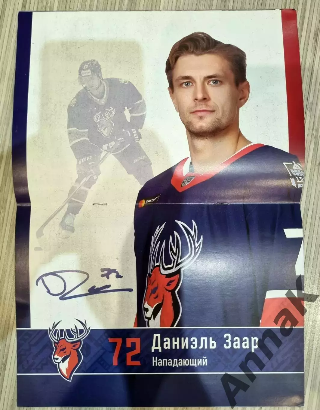Торпедо НН - Локомотив/Динамо Минск/Сочи 02-04-07.11 2021 постер Д.Заар 1