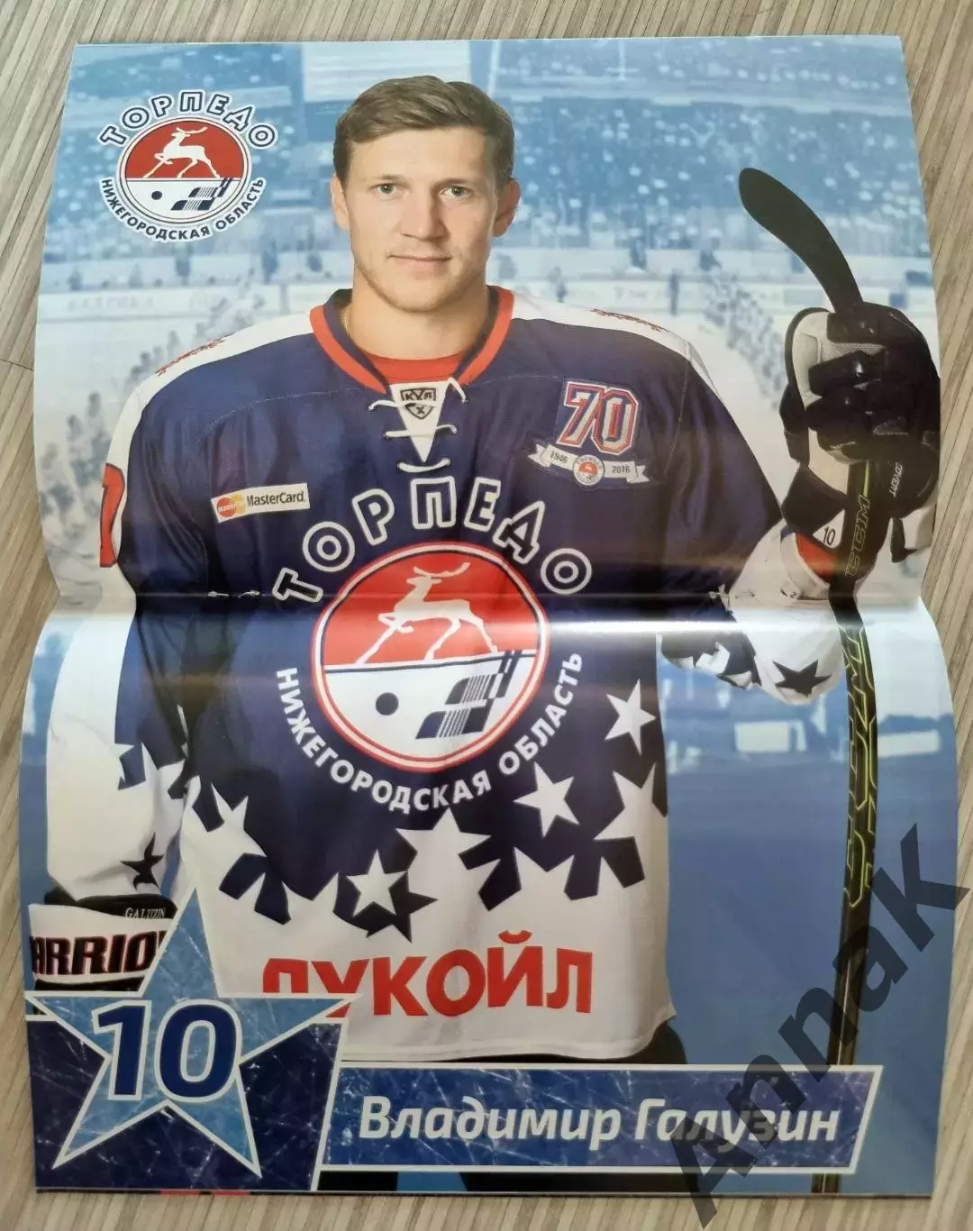 Торпедо Нижний Новгород - Автомобилист - 2016/2017 (2709.2016) Постер В.Галузин 1