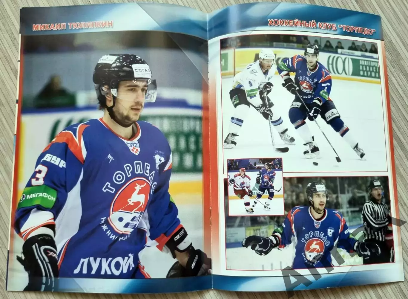 Торпедо (Нижний Новгород) - Металлург (Новокузнецк)-7.03.2010. Постер М.Тюляпкин 1