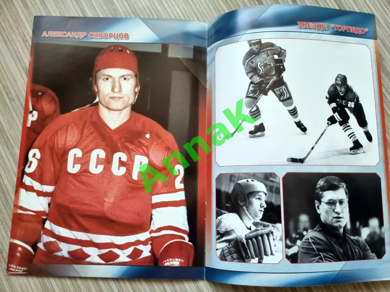Торпедо Нижний Новгород - СКА С-Петербург 2009/2010 13.11.2009 Постер А.Скворцов 1