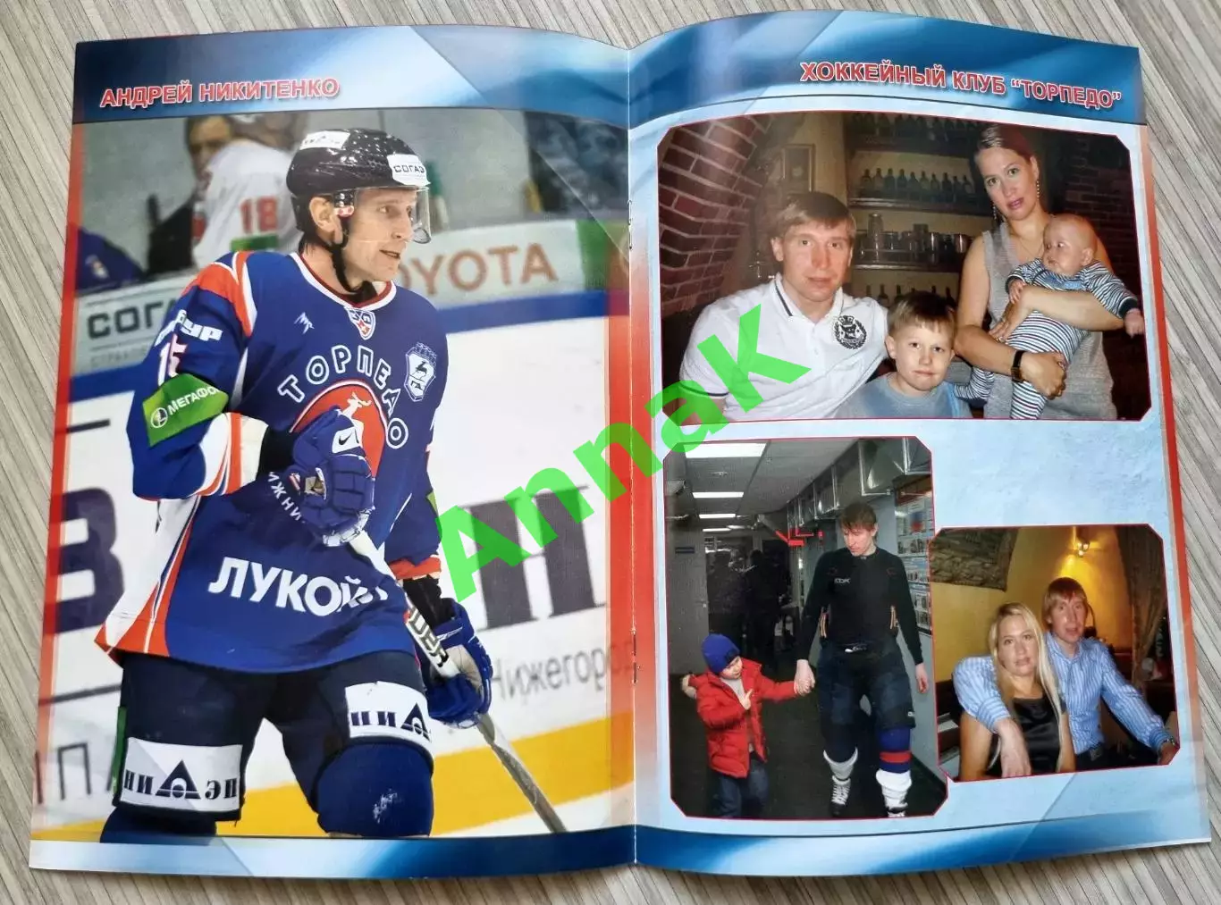 Торпедо Нижний Новгород - ХК МВД - 2009/2010 (17.11.2009) Постер А.Никитенко 1
