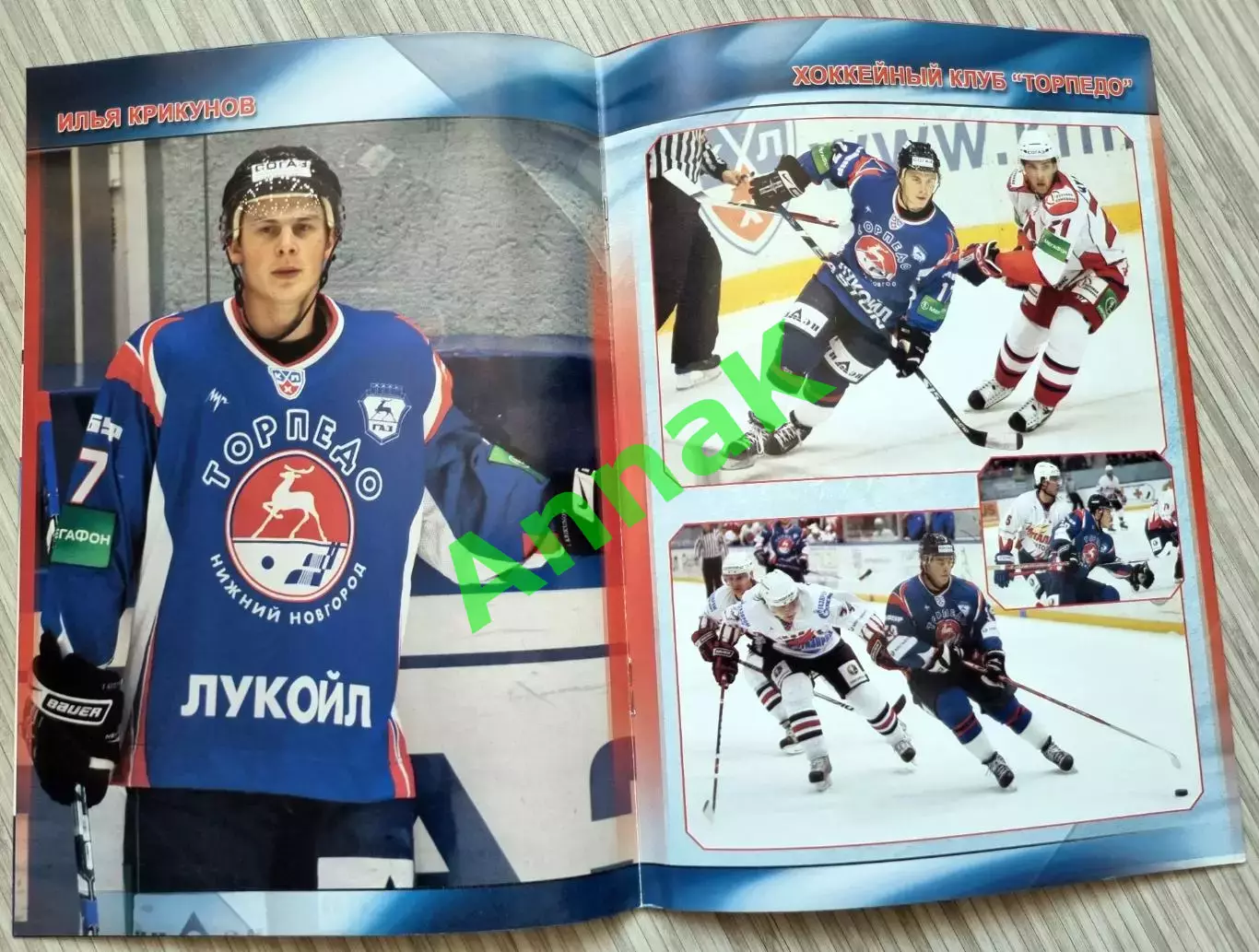 Торпедо Нижний Новгород-Трактор Челябинск-2009/2010 (3.12.2009)Постер И.Крикунов 1