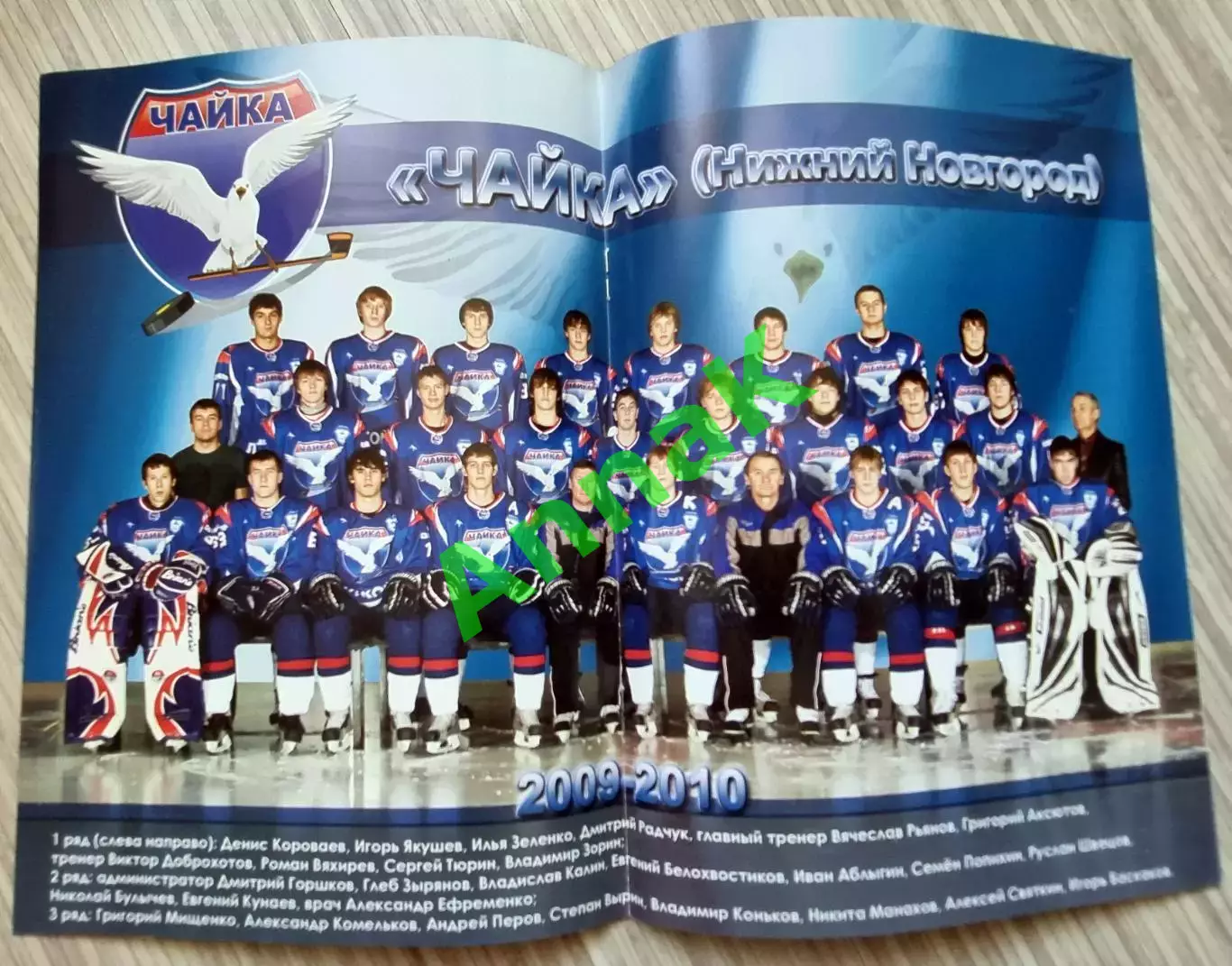 Торпедо Нижний Новгород-Локомотив Ярославль 2009/2010 3.01.2010 Постер Чайка МХЛ 1