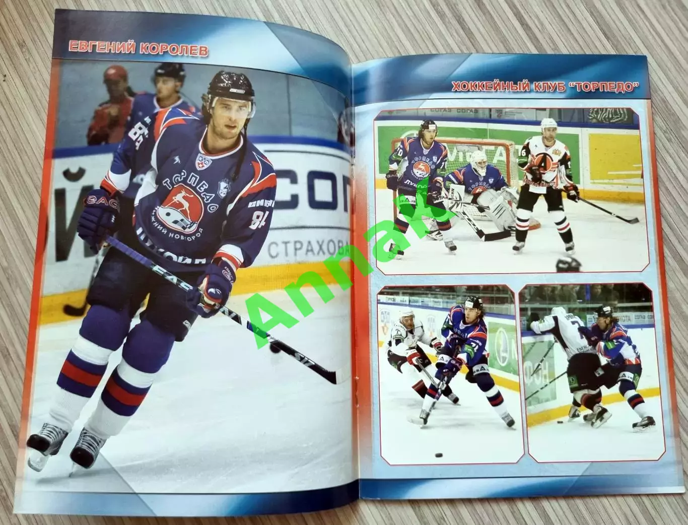 Торпедо Нижний Новгород-Салават Юлаев Уфа-2009/2010 (9.01.2010) Постер Е.Королев 1