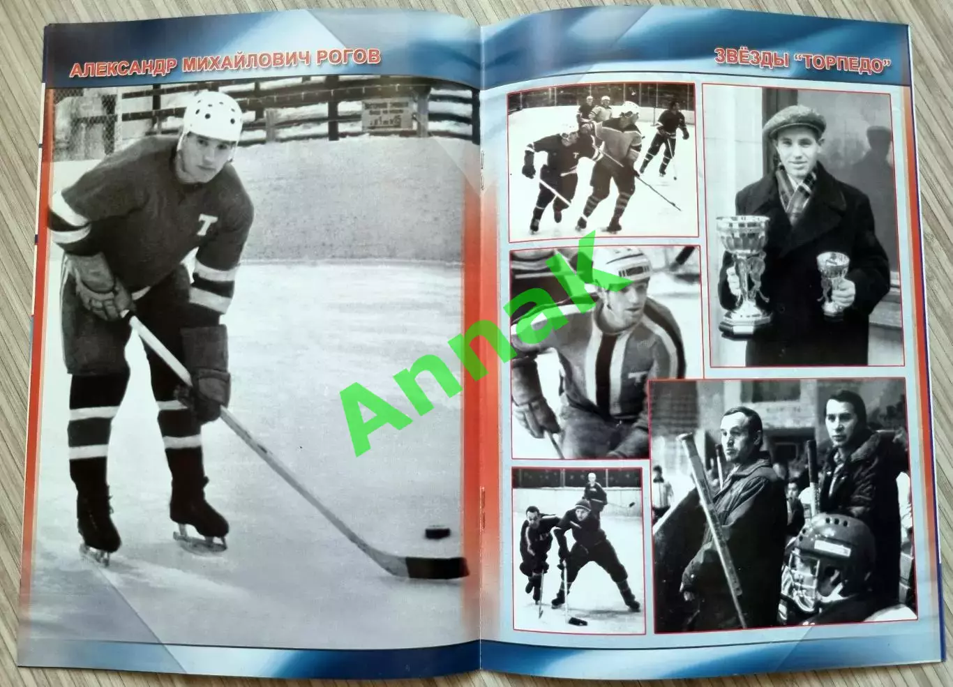 Торпедо Нижний Новгород- Ак Барс Казань 2009/2010. 23.01.2010 Постер А.Рогов 1