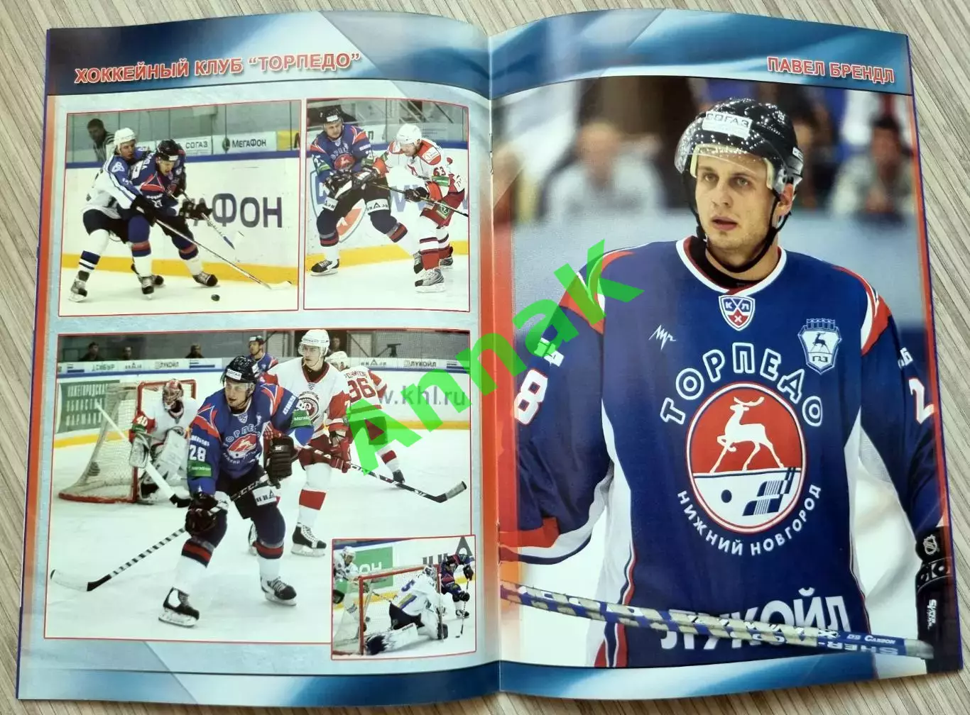 Торпедо Нижний Новгород - Лада Тольятти) - 2009/2010 25.01.2010 Постер П.Брендл 1