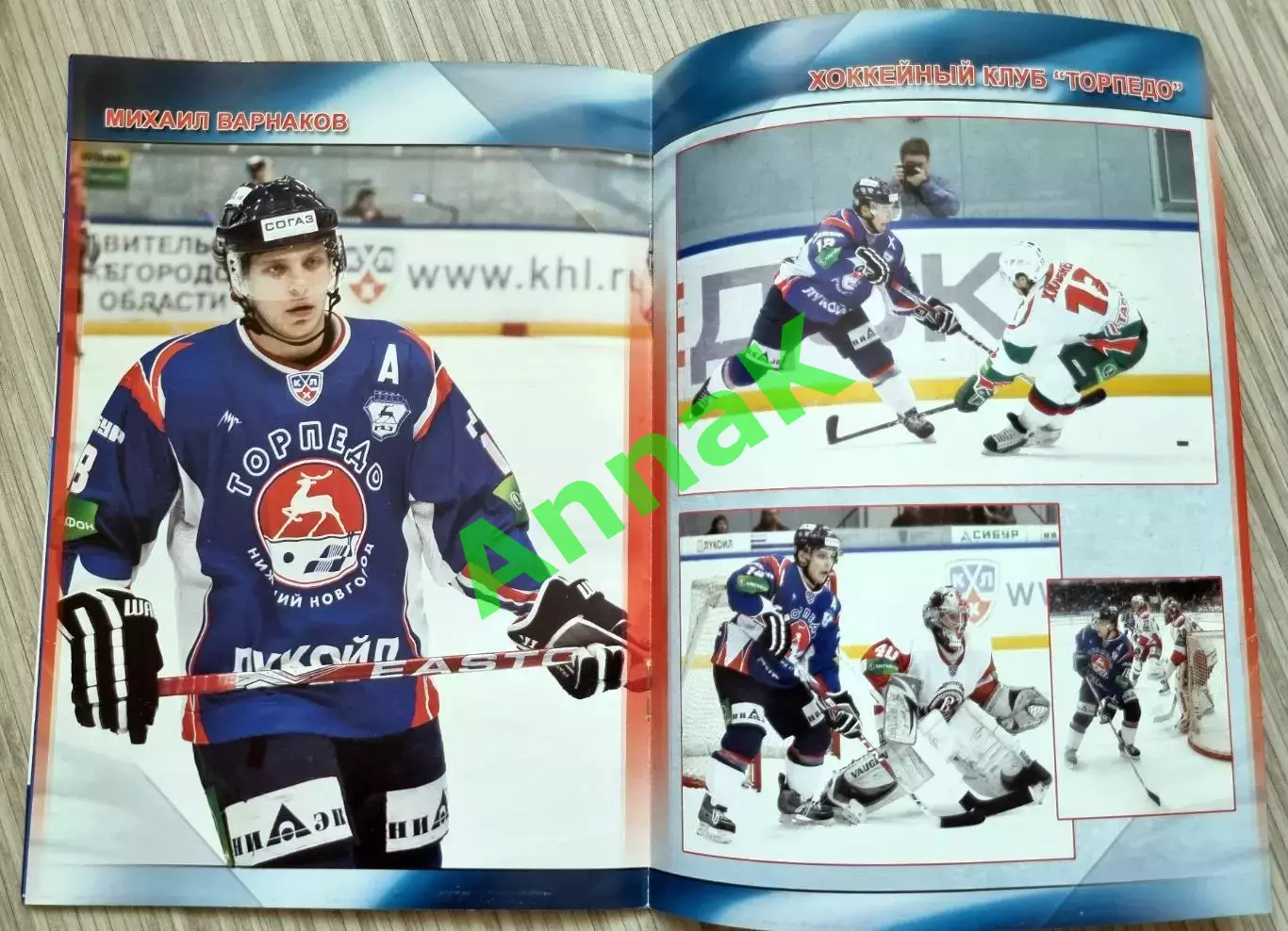 Торпедо Нижний Новгород-Сибирь Новосибирск-2009/2010 (3.3.2010)Постер М.Варнаков 1