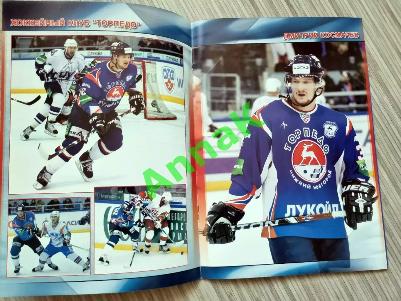 Торпедо Нижний Новгород - Амур Хабаровск-2010/2011 (5.03.2010) Постер Д.Космачев 1