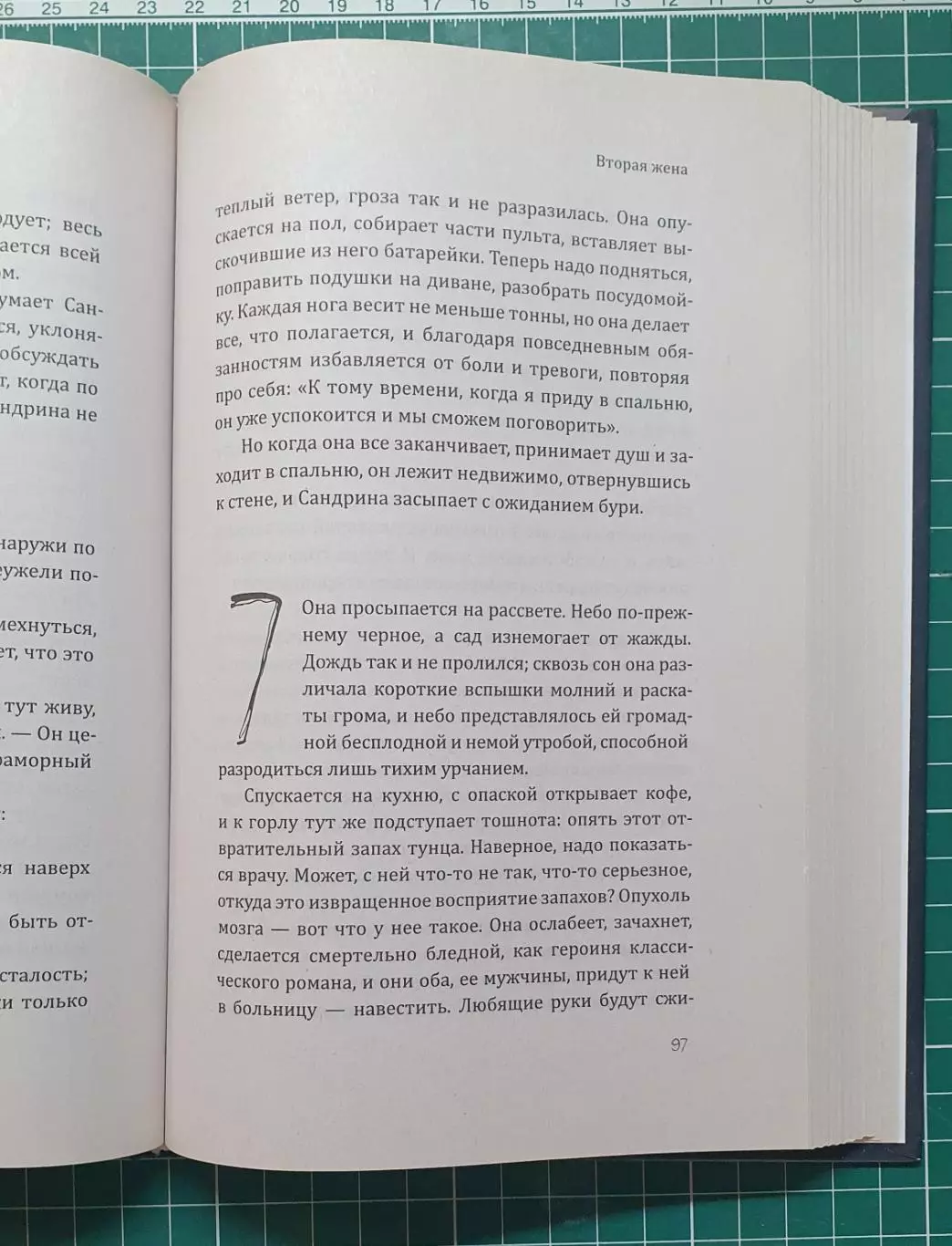Книга «Вторая жена» — Луиза Мэй (Триллер) 2