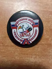 Спортивная школа Ледовое поколение Орел