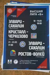 Элвари-Сахалин - Кристалл Воронеж / Ростов-Волей март 2020
