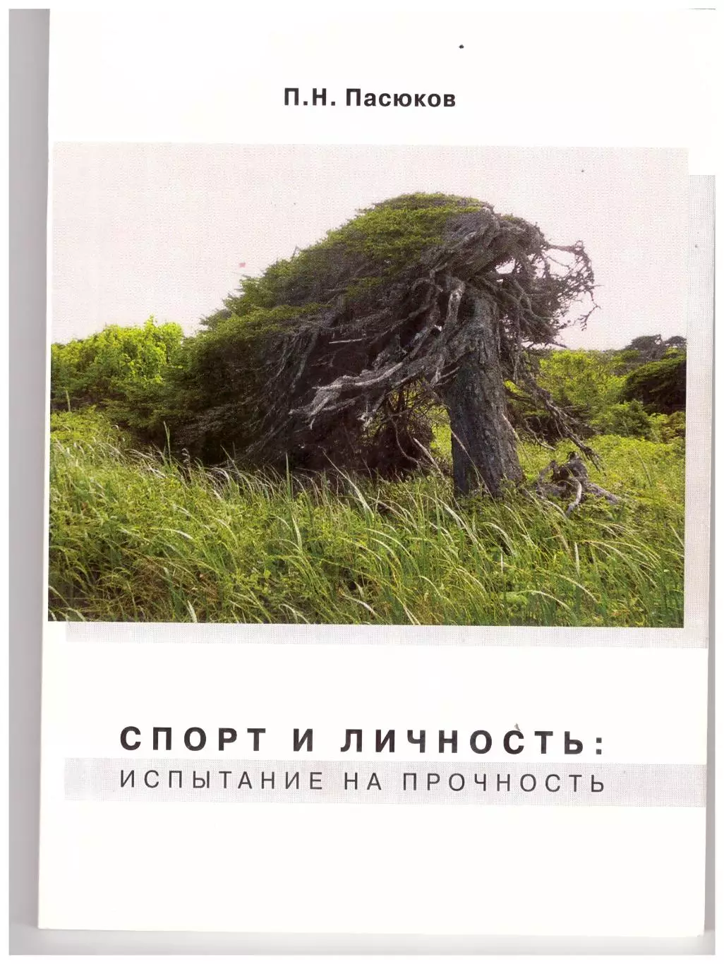 Спорт и личность: испытание на прочность (Южно-Сахалинск, 2011)