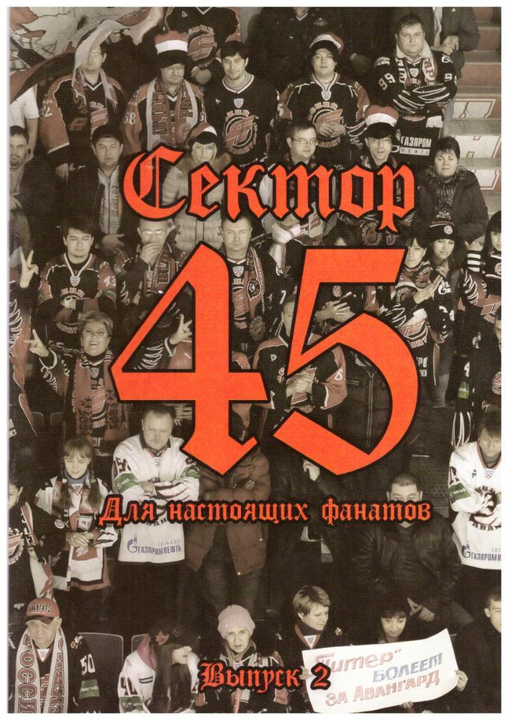 Сектор 45. Для настоящих фанатов (Омск, 2013)