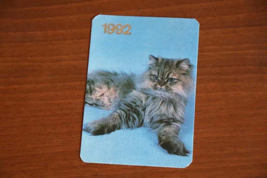 Календарик 1992 год Породы кошек