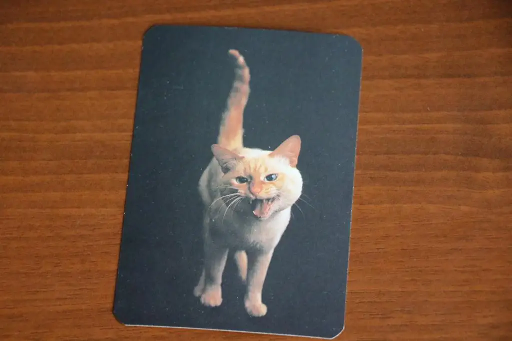 Календарик 1993 год Серия породы кошек