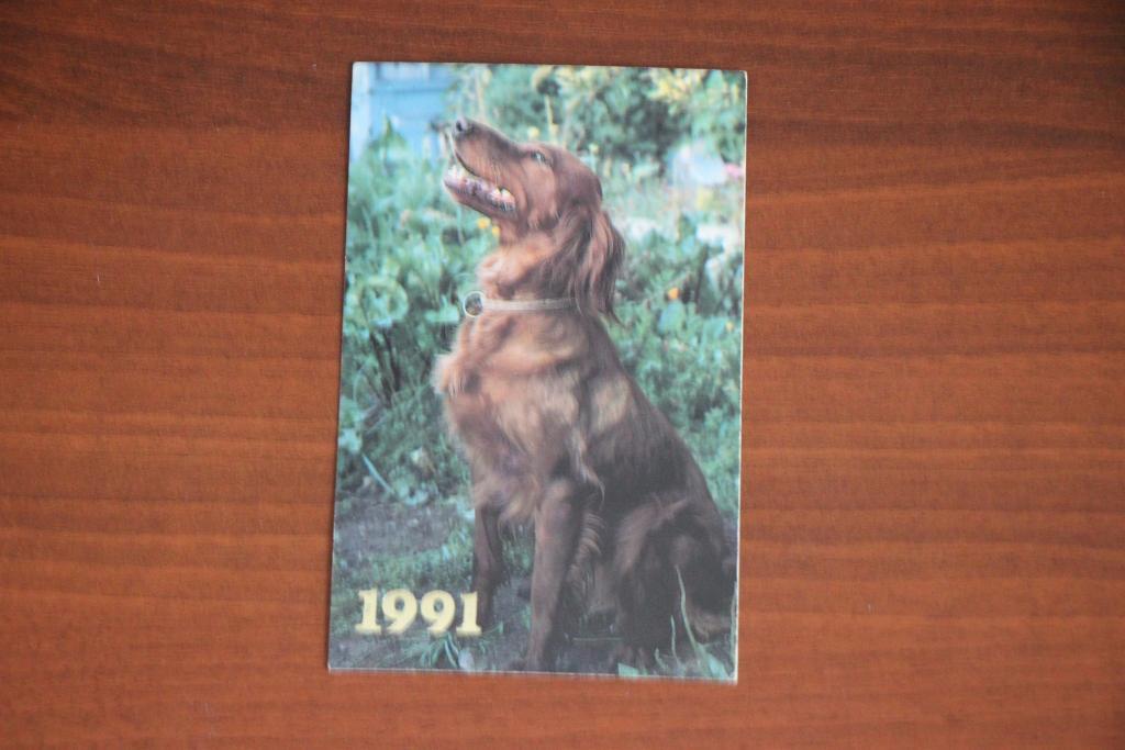 Календарик 1991 год. Породы собак