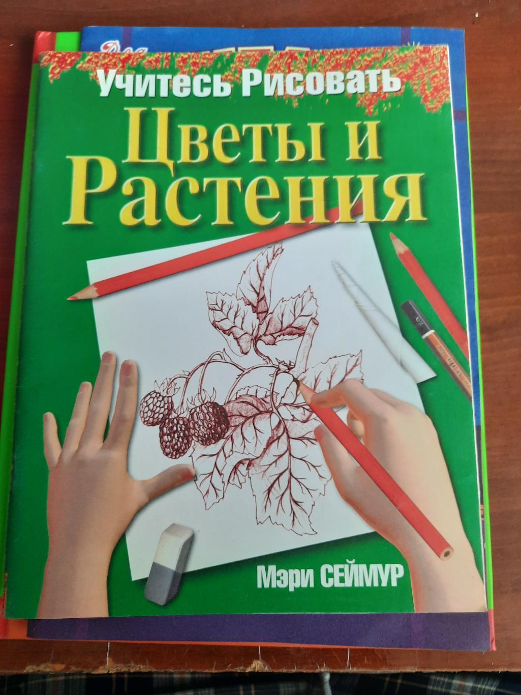 Как научиться рисовать цветы и растения