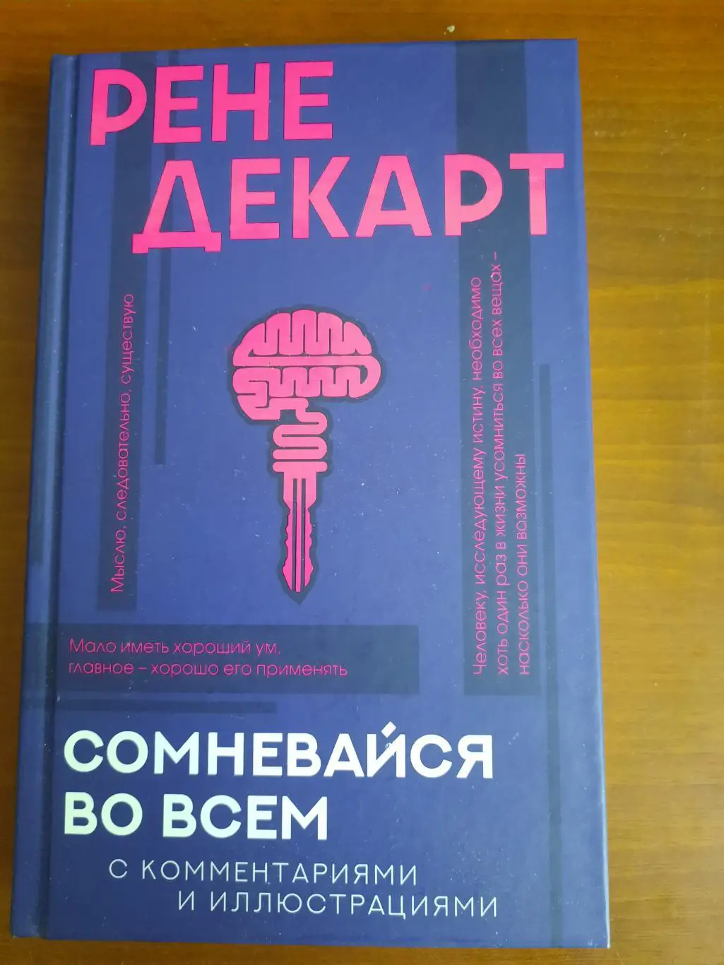 Декарт Сомневайся во всем (серия Философия с комментариями и иллюстрациями)