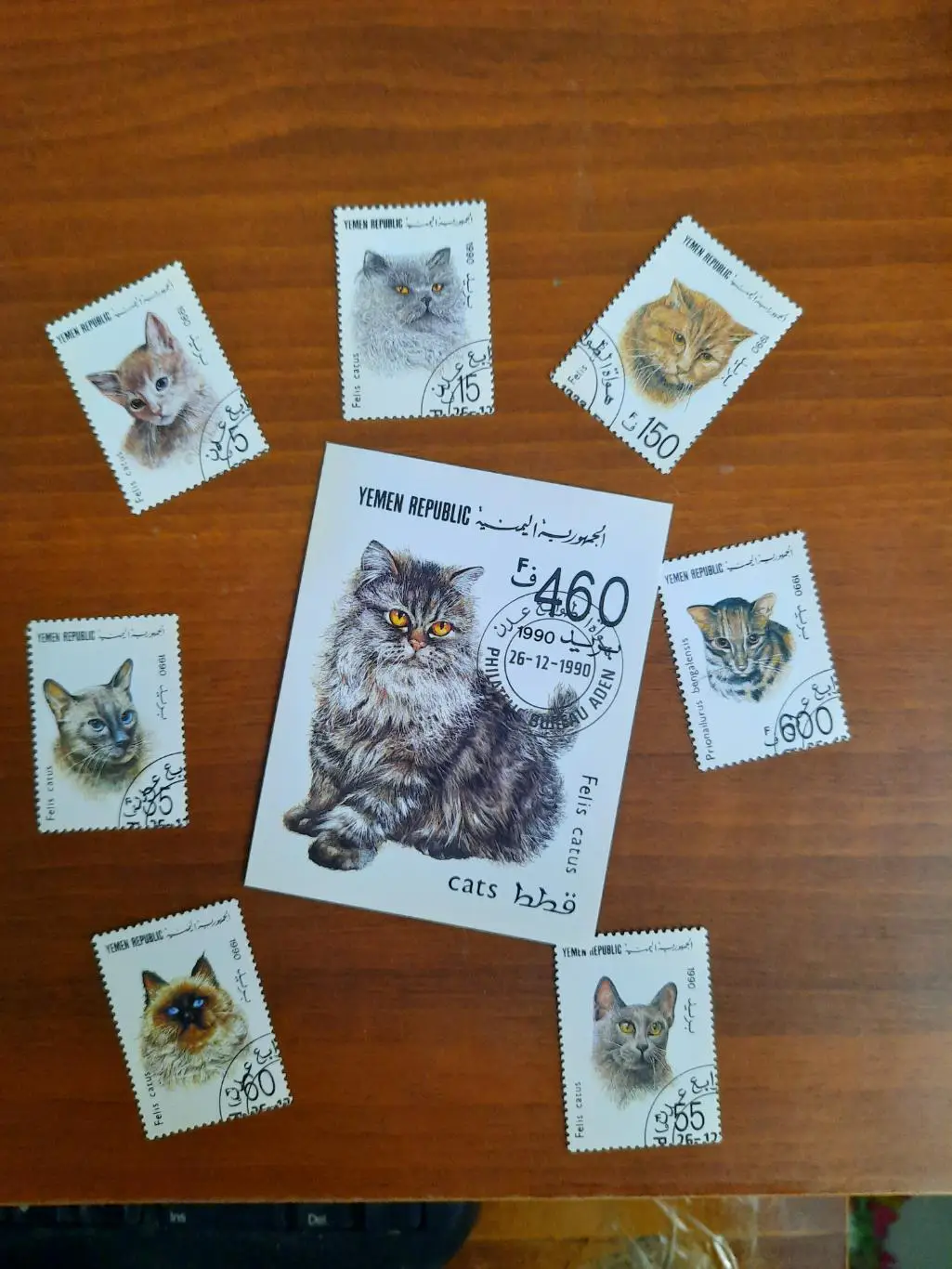 Марки. Йемен. Кошки