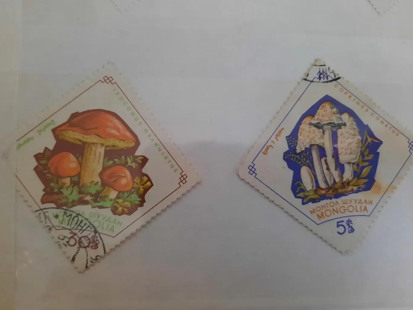 Марки. Монголия. Грибы