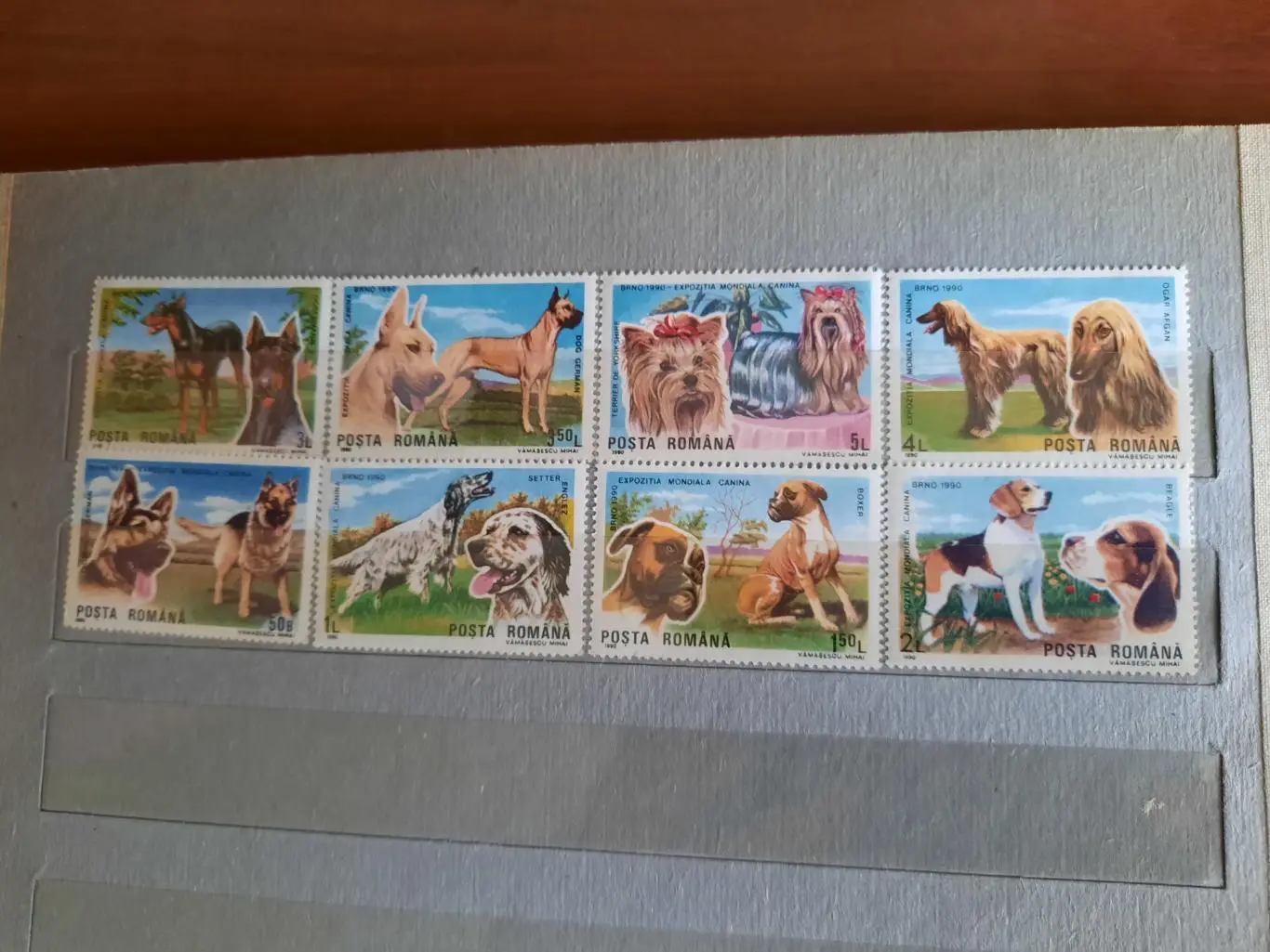 Марки Румыния Собаки негашенные