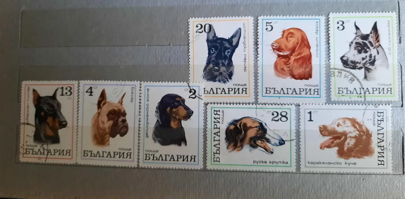 Марки Болгария Собаки 8 марок
