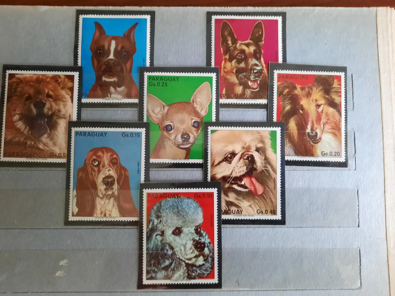 Марки Парагвай собаки 8 марок