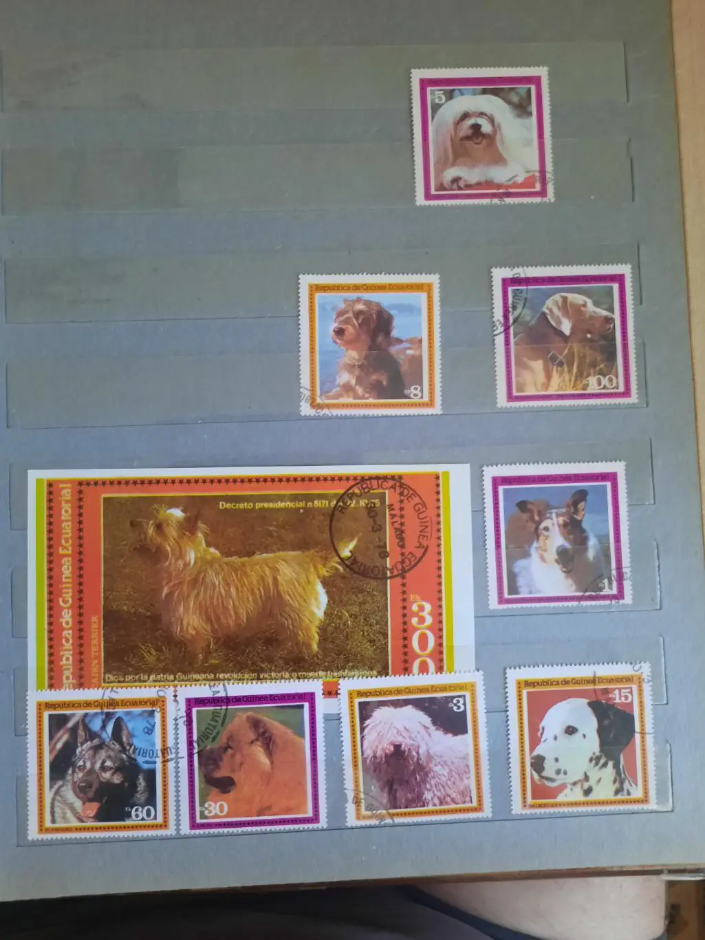 Марки Экваториальная Гвинея Собаки 8 марок + блок