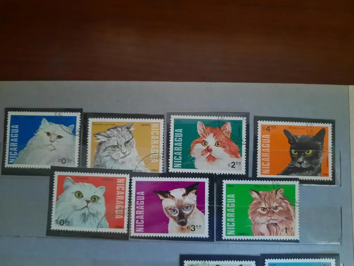 Марки Кошки Никарагуа 7 марок